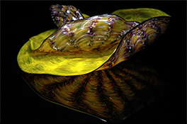 Yellow Barnacle Art Glass Nesting Sets by Robert Kaindl