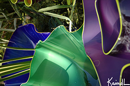 Giant Custom Blue Green Purple Ostrea Bowls Luxury Art Glass by Artist Robert Kaindl