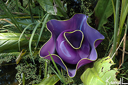Giant Custom Purple Ostrea Bowls Luxury Art Glass by Artist Robert Kaindl