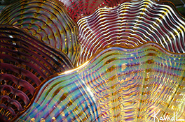 Wall SeaShapes Art Glass by Robert Kaindl