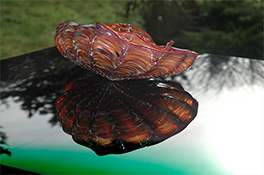 Tan Red Barnacle Art Glass Nesting Sets by Robert Kaindl