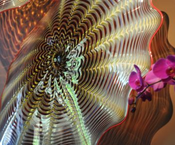 Wall SeaShapes Art Glass by Robert Kaindl