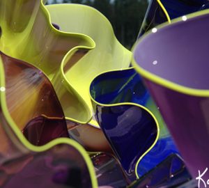 Giant Ostrea Bowl Luxury Art Glass by Artist Robert Kaindl