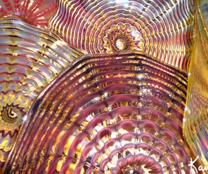 Wall SeaShapes Art Glass by Artist Robert Kaindl