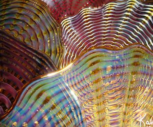 Wall SeaShapes Art Glass by Artist Robert Kaindl