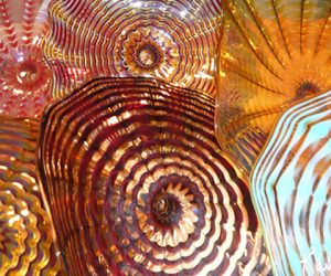 Wall SeaShapes Art Glass by Artist Robert Kaindl